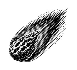 Wall Mural - meteor engraving black and white outline
