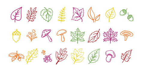 Wall Mural - Autumn leaves outline doodle set. Botanical fall contour stickers. Vector leaf clipart drawings 