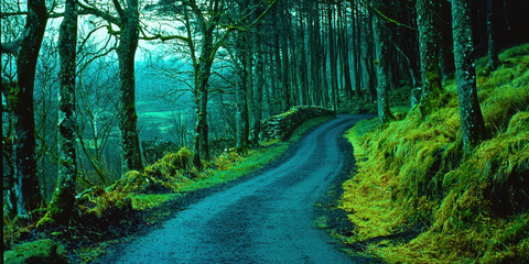 Poster - A road with trees on both sides and a hill in the background