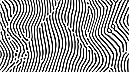 Poster - vertical wavy lines in black and white abstract art