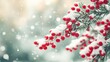 © saeedy - Close-up of snow-covered pine branches with red berries in winter, perfect for festive and holiday-themed designs.