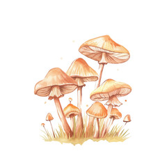 A watercolor vector of a set of wild forest mushrooms, isolated on a white background. Wild forest mushrooms vector.