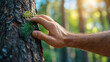 © well - Forester marks trees for selective conservation efforts in nature