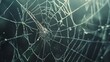 © kaitong1006 - Intricate and delicate spider web illuminated by dramatic moody lighting in a dark natural environment  The web s intricate structure and fragility create a sense of beauty and mystery
