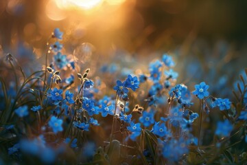 Poster - Delicate blue flowers blooming in a sunlit garden during early spring, creating a serene and tranquil atmosphere beneath soft sunlight