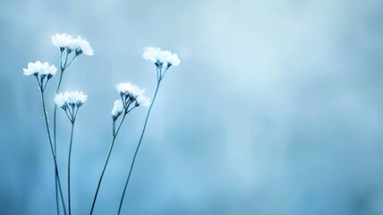 Poster - Soft Blue Floral Arrangement Highlighted by Delicate Bokeh and Gentle Glow, Perfect for Creating a Serene and Calm Atmosphere in Any Design Project