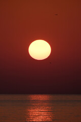 Wall Mural - Sunset on the Black Sea. Sunset over the sea with seagulls on the horizon