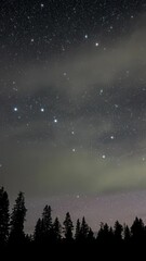 Wall Mural - vertical time lapse of starry night sky with big dipper, clouds, planes and meteors