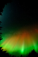 Wall Mural - vertical fisheye panorama of red and green aurora in a star filled sky with milky way
