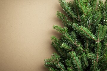 Wall Mural - A close-up shot of a pine tree trunk, set against a brown background