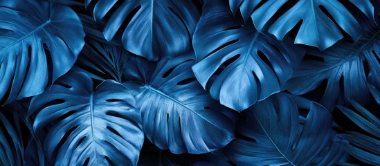 Poster - tropical palm leaves depicted in blue ideal for mural and wallpaper art