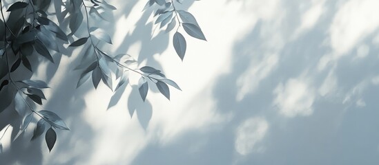 Poster - Overlay painting effect featuring gray leaf shadows on a white wall Abstract blurred background with dappled natural light