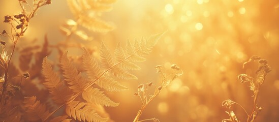 Poster - Close up image of a dried fern with an abstract natural backdrop featuring selective focus and enhanced color toning
