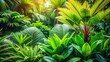 © VisualVault - A vibrant tapestry of lush green foliage, illuminated by sunlight filtering through the canopy, creating a tranquil oasis of nature