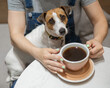 © Михаил Решетников - Jack Russell sits on the lap of the hostess in a cafe. Woman drinking coffee in a dog friendly cafe.