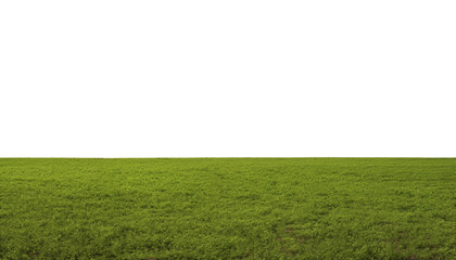 green grass field isolated on transparent background cutout