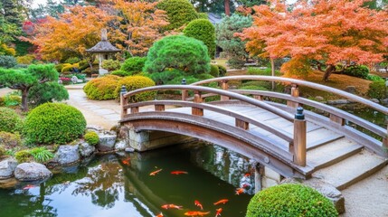 Poster - A picturesque view of a serene Japanese garden with a wooden bridge over a koi pond, surrounded by maple trees in autumn colors, Japanese garden scene