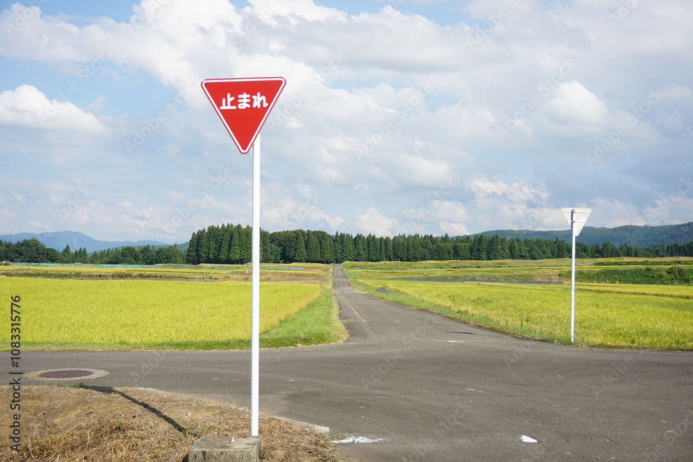 止まれ」の道路標識と田舎道 Stock Photo | Adobe Stock