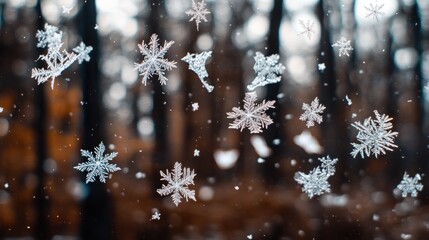 Poster - Intricate Snowflakes Falling Against a Blurred Forest Background