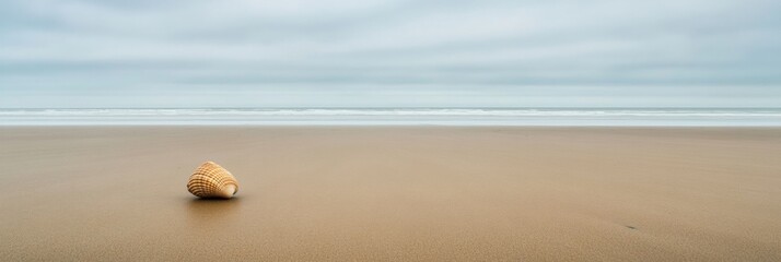 Poster - A single seashell lies on the smooth sand of a quiet beach with gentle waves lapping in the background on a cloudy day. Generative AI