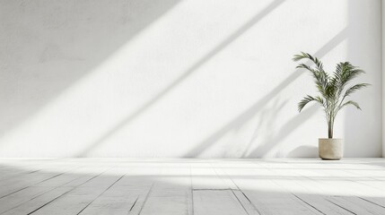 Poster - A white room with a plant in a pot