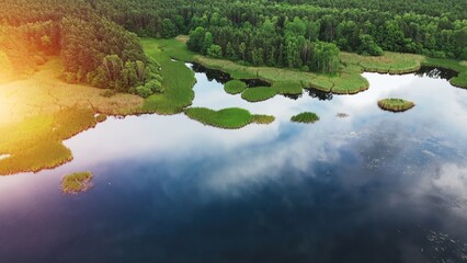 Wall Mural - Scenic forest lake with evening sky reflection