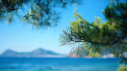 Canvas Print - A serene coastal view framed by pine branches, showcasing a tranquil blue sea and distant mountains.