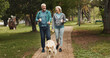 © peopleimages.com - Walking, dog and fitness with old couple in park for training, retirement and health. Animal care, support and morning with man and woman with Labrador pet in nature for love, guide and wellness