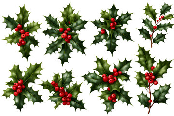 Wall Mural - set of christmas holly leaves and berries for decoration design