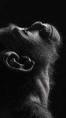 Aufkleber - A close-up of a monkey's face, showcasing its expressive features against a dark background.