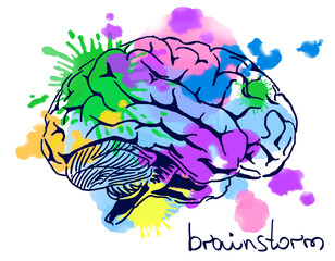 Aufkleber - Colorful brain sketch with splashes of paint on a white background, symbolizing creativity and brainstorming. Hand-drawn style, clean, isolated