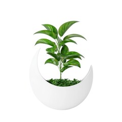 Wall Mural - A modern, crescent-shaped planter holds a vibrant green plant, adding a fresh touch to any indoor space.