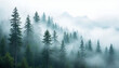 © abu - Misty pine forest on a mountain hilltop, blending serenity with a mystical atmosphere.