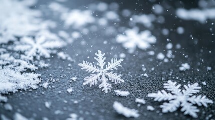 Poster - A Single Snowflake Resting on a Dark Surface with Falling Snow