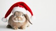 © SHI - The Easter Bunny wearing a Santa hat on a white background
