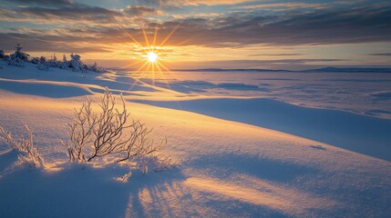 The sun sets over a tundra landscape, casting long shadows across the snow-covered ground, highlighting the rugged beauty of the arctic.