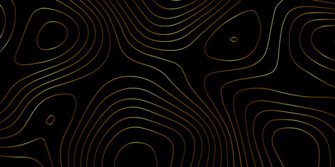 Wall Mural - abstract light pattern vector illustration. topographic map background concept, vibrant neon lights 