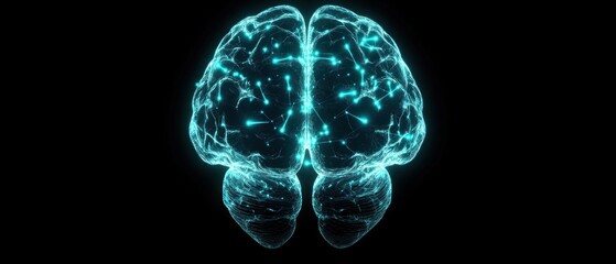 Poster - Human Brain Neural Network:  A Digital Visualization of the Intricate Connections within the Mind's Architecture