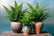 © Michael - Handcrafted Ceramic Pots with Lush Ferns on Translucent Background