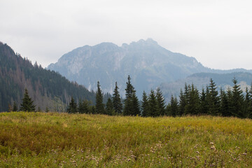 Wall Mural - Tatra National Park and beautiful views.