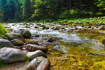 Wall Mural - Tatra National Park and beautiful views.