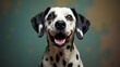 © Andrey - Playful dalmatian with joyful expression against a vibrant background during a cheerful moment