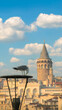 A seagull perched with Galata Tower and cityscape under blue skies in Istanbul.