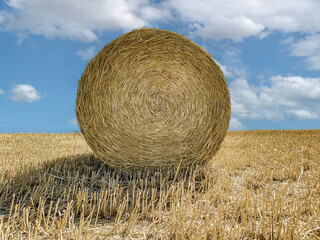 Canvas Print - Roll of straw and a blue sky. Harvest time