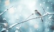 © TheoTheWizard - A bird is sitting on a branch covered in snow