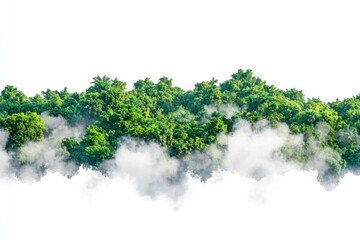 Wall Mural - A train travels through a dense and vibrant forest with trees and foliage surrounding the tracks