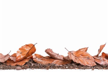 Sticker - A cluster of fallen leaves scattered on the ground