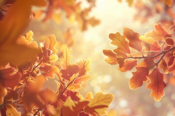 Poster - Sunlight filtering through tree leaves, highlighting their texture and shape