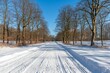 © top images - A snow covered road with trees in the background