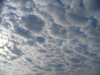 Poster - Sunny blue sky with sunlight and Stratocumulus clouds - natural background. Topics: pattern, texture, weather, meteorology, sun energy, season, beauty of nature, air space